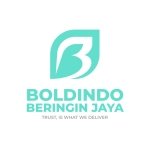 BOLDINDO LOGO